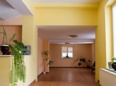 Zelaya Jr Painting - painted interior of home